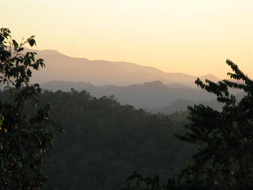 Hotel Mockingbird Hill Port Antonio Fasilitas foto