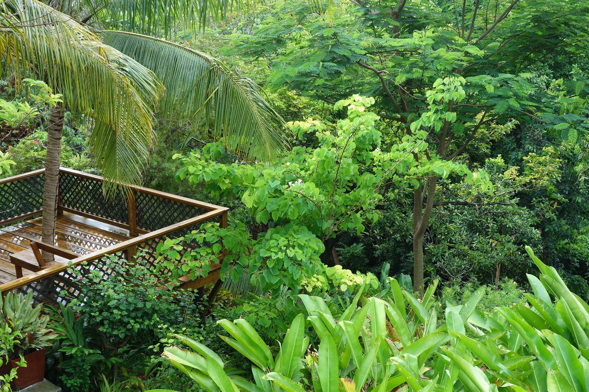 Hotel Mockingbird Hill Port Antonio Bagian luar foto